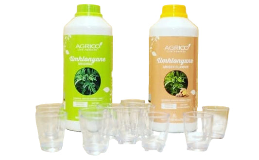 Umhlonyane Herbal Tonic - Nature’s Dazzling Cure-All Elixir! 🌿